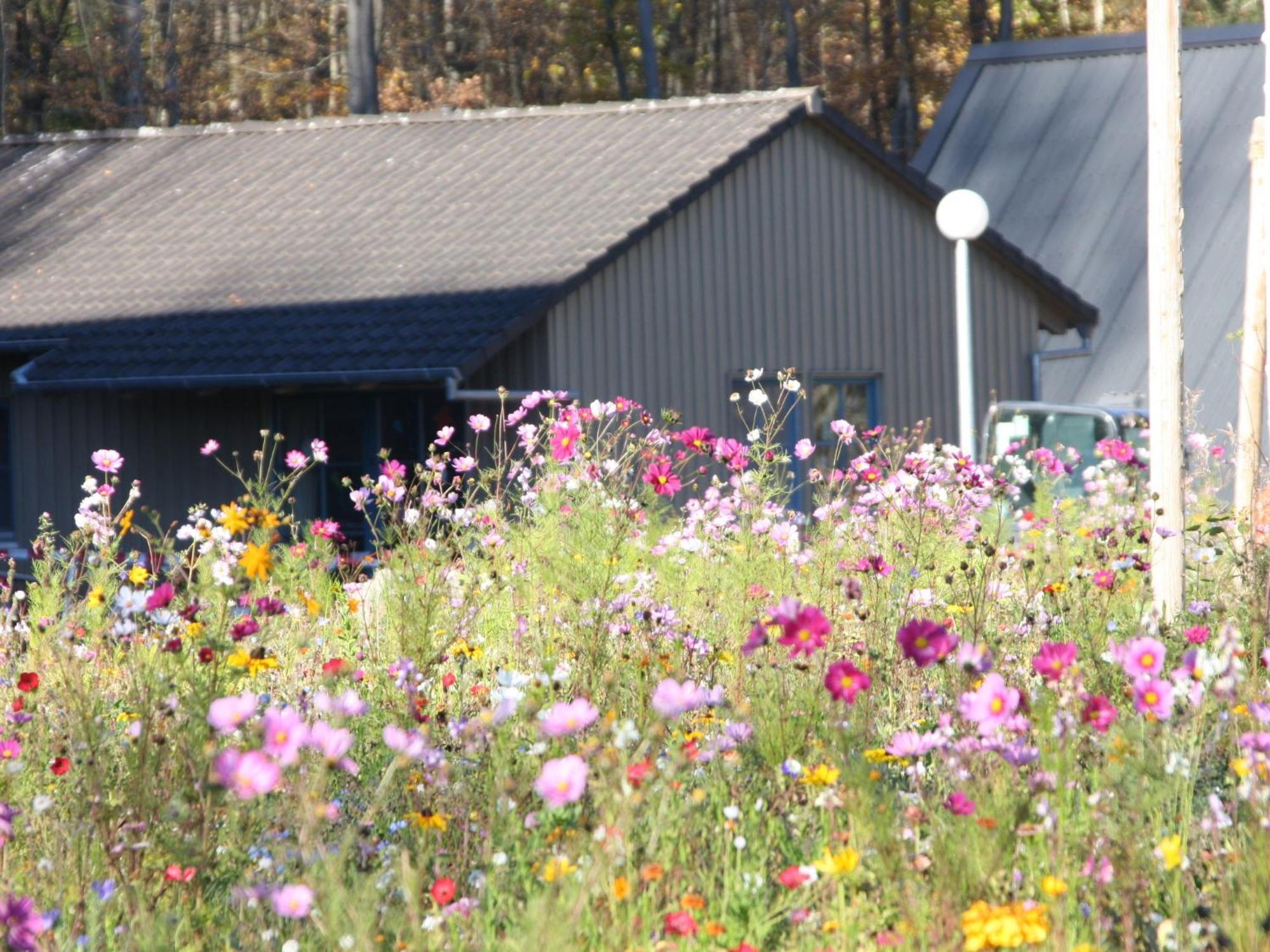 Holiday Home Ferienhaus Bude 87 By Interhome Bad Arolsen Esterno foto